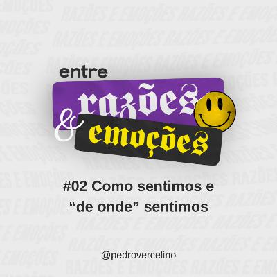 02 Como sentimos e "de onde" sentimos | Entre Razões e Emoções - Pedro Vercelino 02 Como sentimos e "de onde" sentimos | Entre Razões e Emoções - Pedro Vercelino