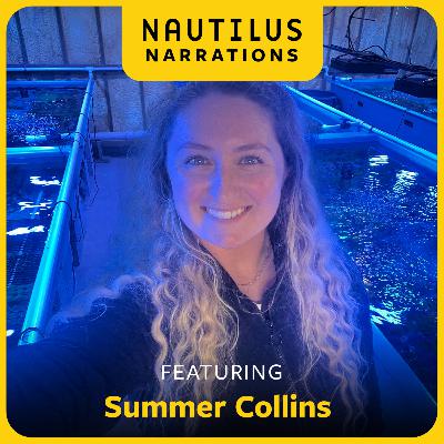 A Wild Idea to Protect the Great Barrier Reef | Nautilus Narrations with Summer Collins