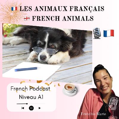 Les animaux Français - French Podcast 🎙️🇫🇷 EP 31