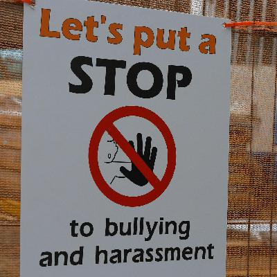New child-led campaign gives insight into childhood experiences of Bullying.