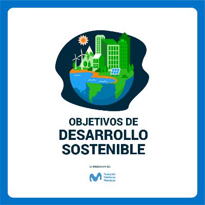 Panorama de Innovación, Cultura y Sostenibilidad