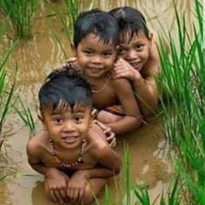 Das vergonhas saradinhas à brasilian wax - As mentiras da Carta de Caminha Das vergonhas saradinhas à brasilian wax - As mentiras da Carta de Caminha