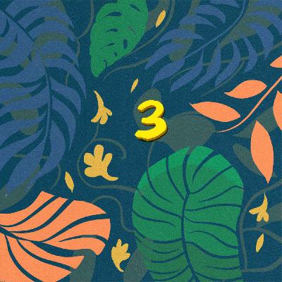 Episodio 3: Puerta asegurada