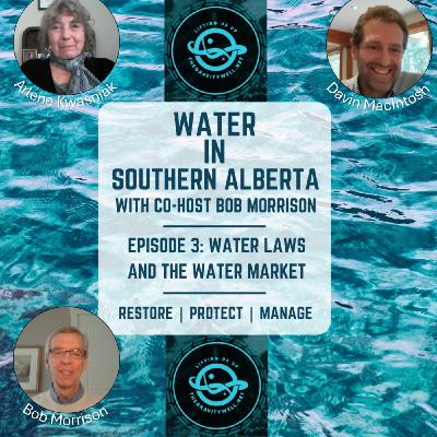 Water Laws and the Water Market