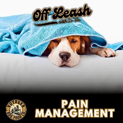 Pain Management
