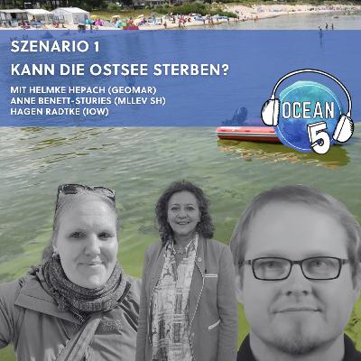 Szenario 1: Kann die Ostsee sterben?