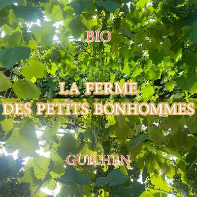 FERME BIO LES PETITS BONHOMMES, GUICHEN FERME BIO LES PETITS BONHOMMES, GUICHEN