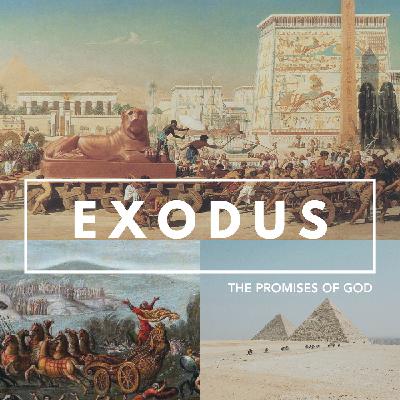 Świąteczny, w którym wróżymy i obdarowujemy, głównie siebie