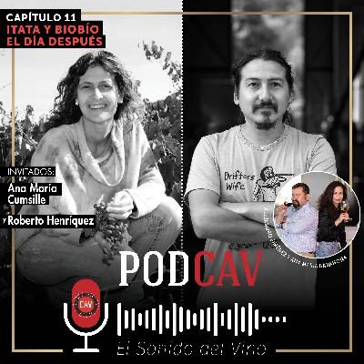 Itata y Biobío: el día después #11