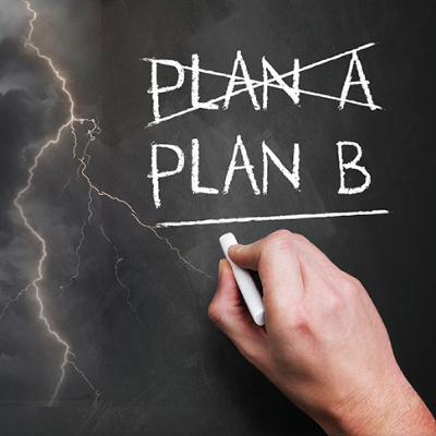 Fast-thinking fledgling