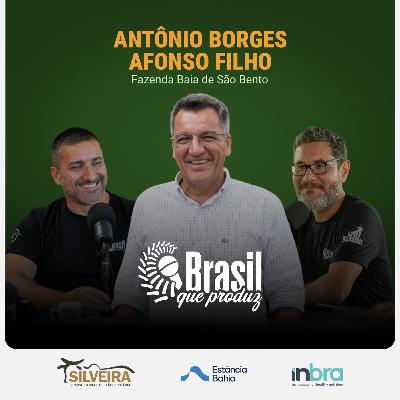 ANTÔNIO BORGES AFONSO FILHO - FAZENDA BAÍA DE SÃO BENTO ANTÔNIO BORGES AFONSO FILHO - FAZENDA BAÍA DE SÃO BENTO