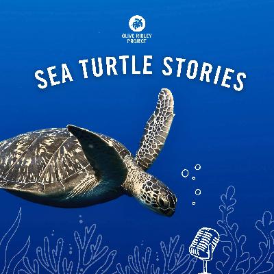 Sea Turtle Stories Trailer