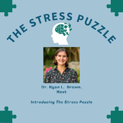 Introducing The Stress Puzzle Introducing The Stress Puzzle