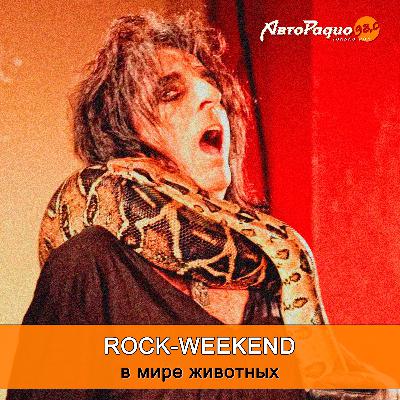 Rock-Weekend в мире животных Rock-Weekend в мире животных