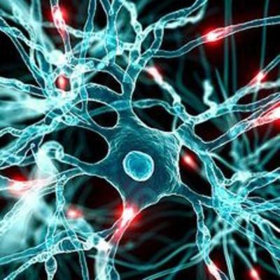 La Neurona