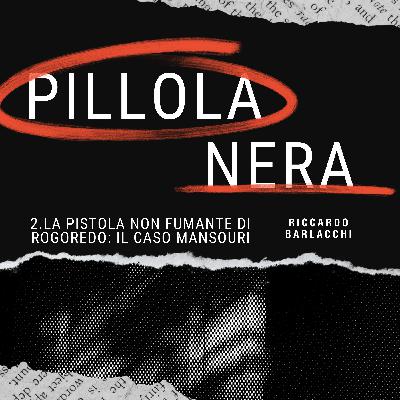E02 - La pistola non fumante di Rogoredo: il caso Mansouri