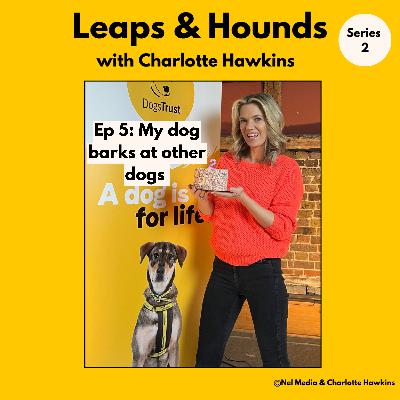 5. Help! My dog barks when other dogs come close @leapsandhoundspodcast 5. Help! My dog barks when other dogs come close @leapsandhoundspodcast