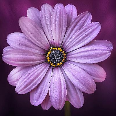 Seeking Correct View of Self Seeking Correct View of Self