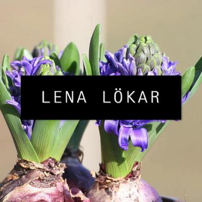 4 - Lena lökar
