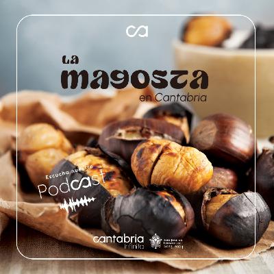 La Magosta en Cantabria: Una Tradición Otoñal que Perdura