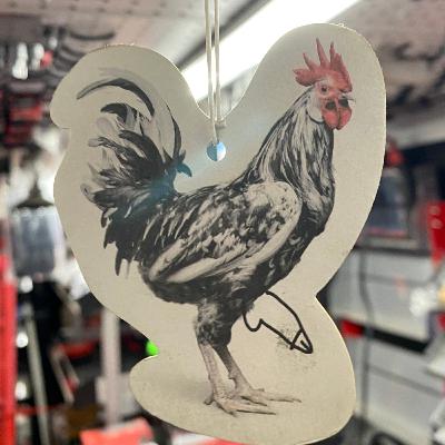 DICK CHICKEN
