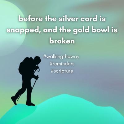 Walking the Way 24th November 2025 - Remember