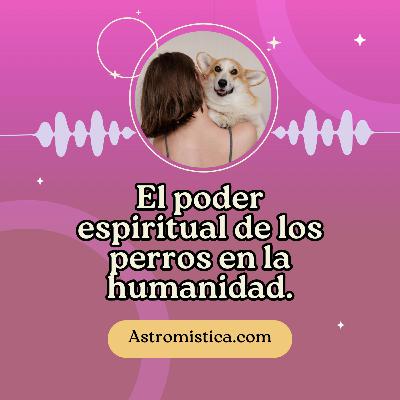 El poder espiritual de los perros en la humanidad.