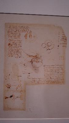 手稿之美（高校探馆之三）