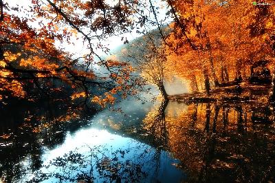 [Moacrealsloa] Automne à fond