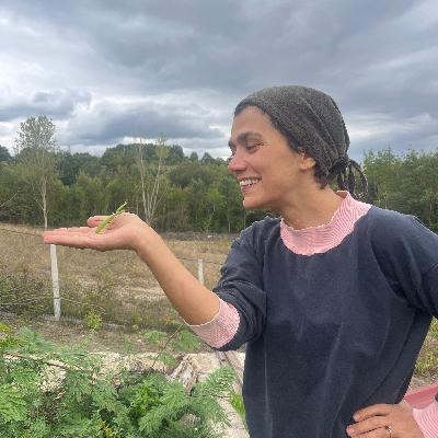 Zamanda GERİ Seyahat Etmek