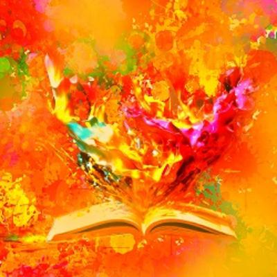 Read Free Books Online Finding Grace: Two Sisters and the Search for Meaning Beyond the Color Line [PDF EBOOK]