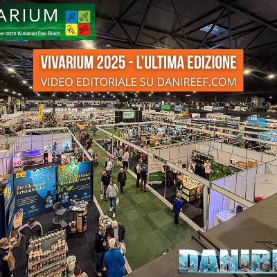 Vivarium 2025: l’ultima, indimenticabile edizione tra aquascaping, coralli e novità Vivarium 2025: l’ultima, indimenticabile edizione tra aquascaping, coralli e novità