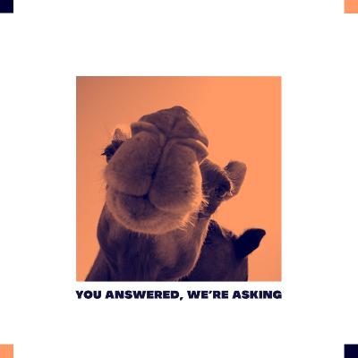 Jeff MacFarland on his Simulation Exercise Machine