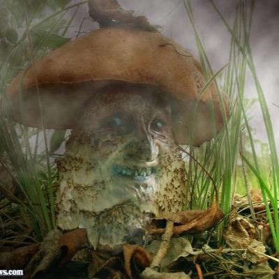 Episode 8: Heroic Mushroom Dosage Episode 8: Heroic Mushroom Dosage