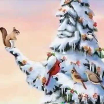 A Wish to be a Christmas Tree