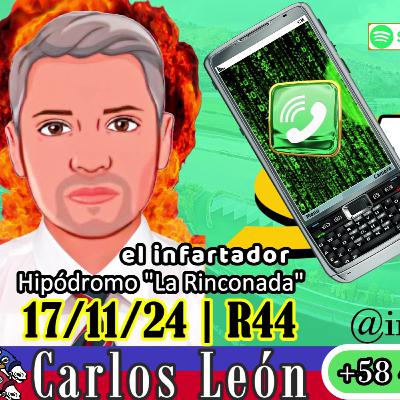 Carlos León "El infartador" | #LaRinconada 17/11/24 | R44 | Fijos Marcas5y6 #adelantados 🏇🏅🏆