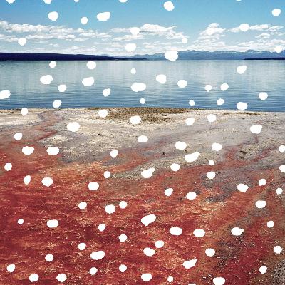 Rebecca Najdowski : About Landscape