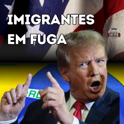 Imigrantes em fuga, trabalhadores somem, obras paradas e indígenas sob pressão – o que acontece? Imigrantes em fuga, trabalhadores somem, obras paradas e indígenas sob pressão – o que acontece?