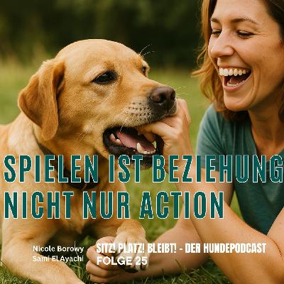 #25 Spielen mit dem Hund – mehr als nur Bälle werfen