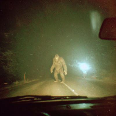 I'm a Navy SEAL Who Hunts DOGMAN... I'm a Navy SEAL Who Hunts DOGMAN...