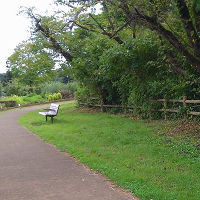 のりこ、ピアノ瞑想を語る⑩ のりこ、ピアノ瞑想を語る⑩