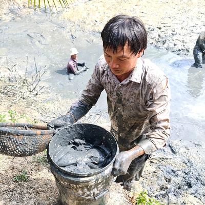 Người cũ cảnh xưa: Chim trời, cá nước, rau đồng (Bài 2): Mùa cá nhảy hầm