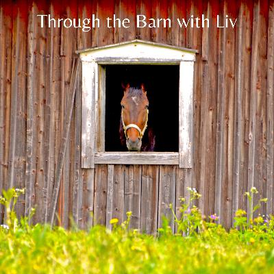 Episode 3 : Therapeutic Riding Lesson Process