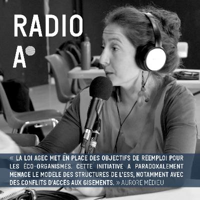 Attaque contre les éco-organismes : comment se prémunir de l'arrivée en force de l’économie traditionnelle ?