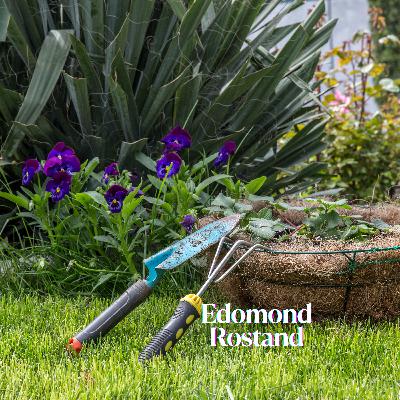 Citation du jour - Edmond Rostand