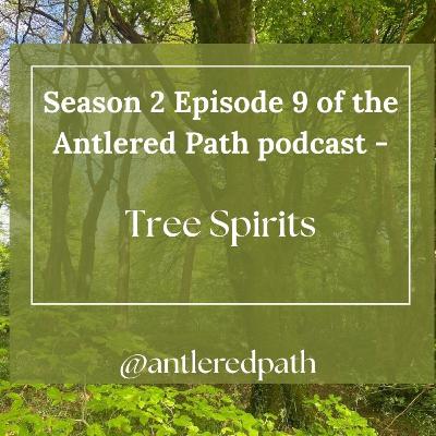 Season 2 episode 9 - Tree Spirits