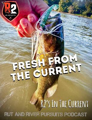 Fresh From The Current - R2's In The Current