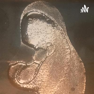 El Liquido de Oro: La riqueza de la leche materna y sus grandes beneficios de por vida. El Liquido de Oro: La riqueza de la leche materna y sus grandes beneficios de por vida.