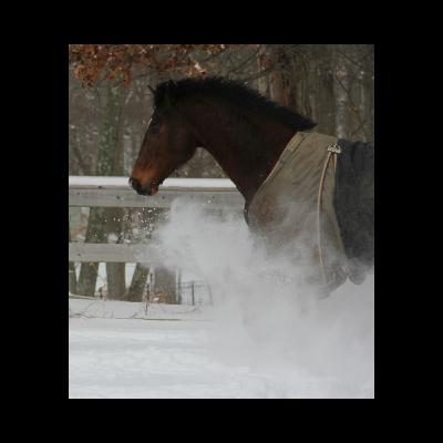 Revisiting Winter Hydration Tips