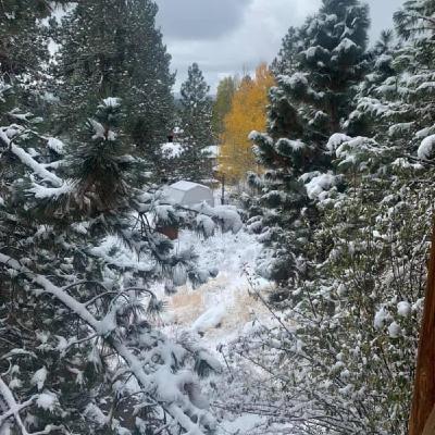 (Deep House) - November 2020 (First Snow) @ericseverson
